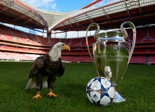 前锋必练的五大禁区技巧（前锋必学的禁区五大技巧）